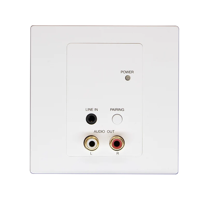2Ch RCA Bluetooth Dante Audio -Panel